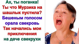 видео: Ах ты живодерка! закричала она, увидев невестку. Это твоих рук дело? Ну я тебе сейчас задам, зараза! картинка: Ах ты живодерка! закричала она, увидев невестку. Это твоих рук дело? Ну я тебе сейчас задам, зараза!