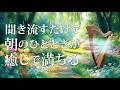 【朝の癒し音楽】快適な目覚めと幸福なひとときを過ごすためのハープのリラックスBGM