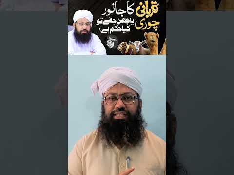 Qurbani ka janwar cheen jaye ya chori ho jaye to Kya kare?