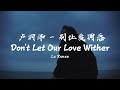 Lu Runze Don T Let Our Love Wither 卢润泽 别让爱凋落 动态歌词 English Subs Pinyin 