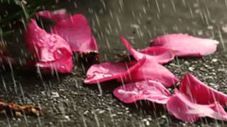 The Queen Of Sheba Raymondlefevregrand Orchestra