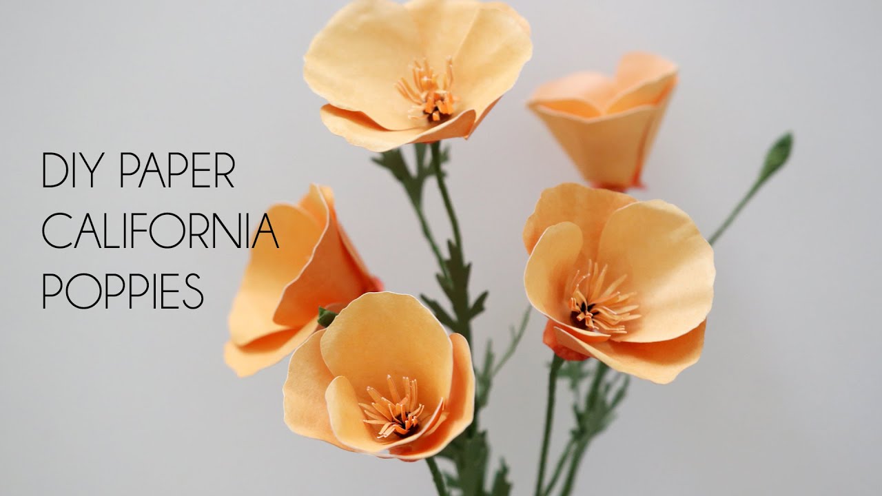 Paper Accents Craft Paper California - California Poppy Mini Polka