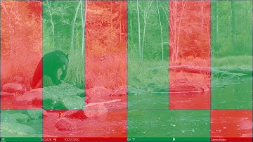 Trail Camera PIR Sensor Patterns   HD 720p