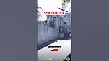 CS2 Weapon Menu