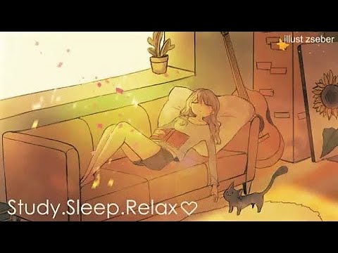 [Study Sleep Relax