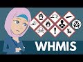 Hazardous Substances Safety - The Fundamentals - YouTube