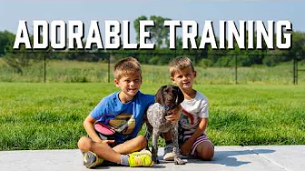Why Kids Should Help With Puppy Training - Obedience Training: Teaching Recall
