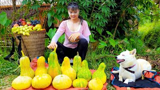 Harvesting Green Squash Goes To Market Sell - Take Care of The Garden | Phuong Daily Harvesting by Phuong Daily Harvesting 59,966 views 2 weeks ago 11 hours, 12 minutes