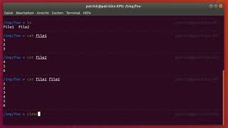 How to cat multiple files at the same time in Linux