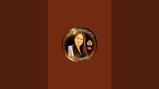 MVF channel is live