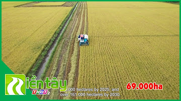 Tái cơ cấu nông nghiệp tỉnh Đồng Tháp đang đi đúng hướng | Miền Tây THDT2