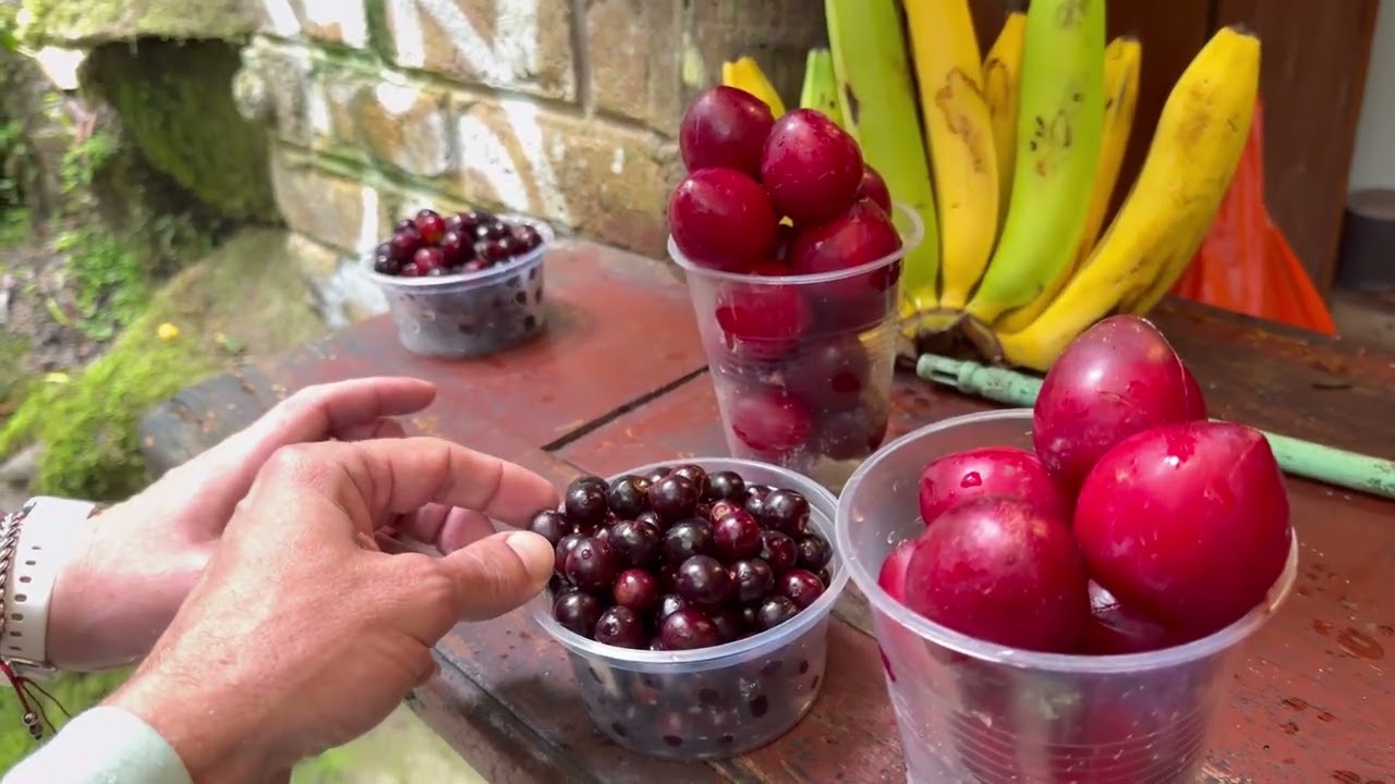 Дьявольский котел. Водопад и эквадорская клубника. 🍓 