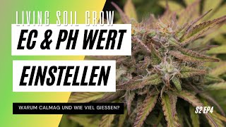 Cannabis Living Soil welcher PH & EC Wert Gießen | Warum CalMag? Klee Cover Crop | Jack Herer S2 EP4