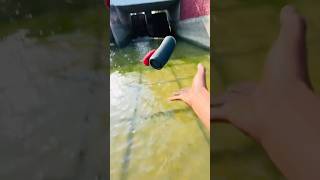 Jbl flip2 &amp; Jbl clip5 water test