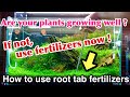 How to use root tab fertilizers in your planted aquarium,How to grow aquatic plants grow well,ADA
