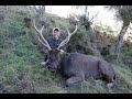 New Zealand Sambar/Wild Goat Hunt