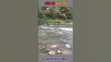 Câu Cá Mương Suối | Câu Cá Giải Trí Và Ẩm Thực #shorts