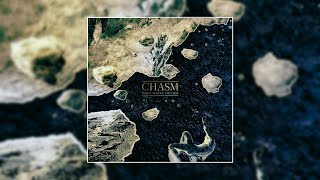 When Waves Collide - Chasm [Album] (2021)