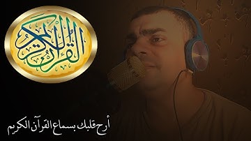 حالات واتساب قرآن كريم ، تلاوة هادئه ( حتى إذا أتوا على وادي النمل)🎧