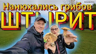 картинка: Осень в Эстонии полна сюрпризов