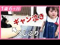 #1歳6ヶ月 犬が怖かった頃【しずくりっぷ】