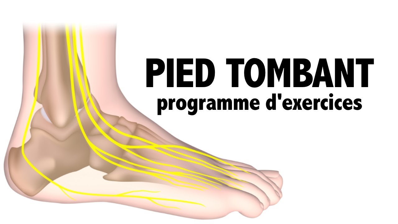 Pied tombant : exercices à faire à la maison, niv. débutant 