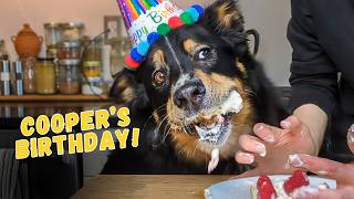 My Dog's 9th Birthday!!! 🍰 I made him CAKE!