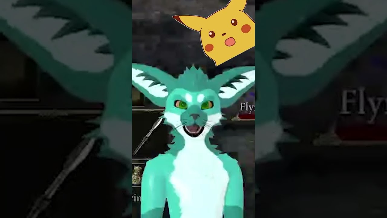 Furry meets Dragon | Elden Ring