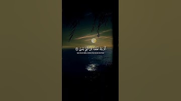 القارئ: وديع اليمني 🖤🎧 اذكروا الله 🖤           #quran #قرآن #وديع_اليمني