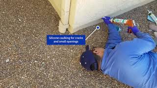 Residential Exclusion Work | Essential Pest Control