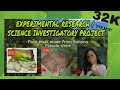 RESEARCH PROJECT: Banana Pseudo-stem as an Eco-Friendly Face Mask (Video Presentation)