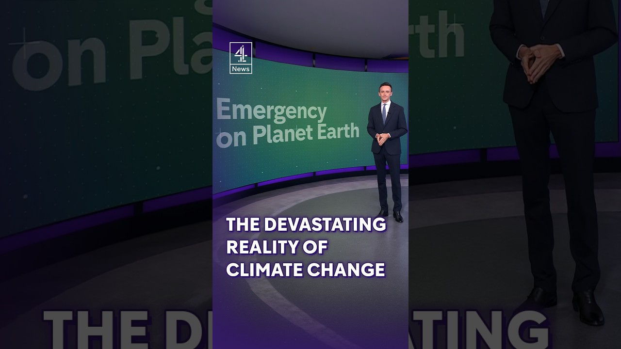 The devastating reality of climate change explained
