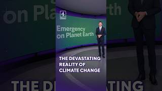 The devastating reality of climate change explained