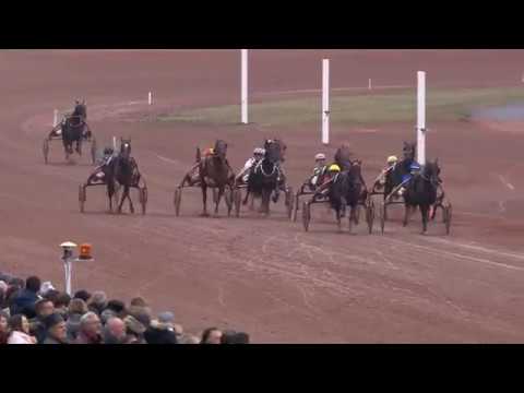 Bold Eagle - Grand Prix du Centre-Est (Groupe 3) - Feurs - 28/10/18 - Bold Eagle - Grand Prix du Centre-Est (Groupe 3) - Feurs - 28/10/18