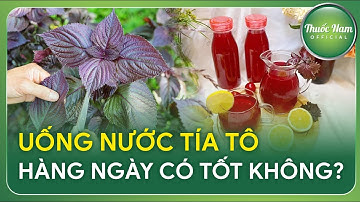 NHỮNG ĐIỀU NÊN BIẾT KHI SỬ DỤNG TÍA TÔ || Thuốc Nam Official