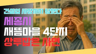 세종 새뜸마을4단지 상투잡은 건설업 대표.