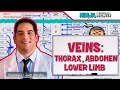 Circulatory System | Veins of the Thorax, Abdomen & Lower Limbs | Flow Chart