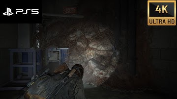 The Last of Us Part II 4K60FPS | The Tunnels | Chronological Order | Grounded No HUD | Uncut