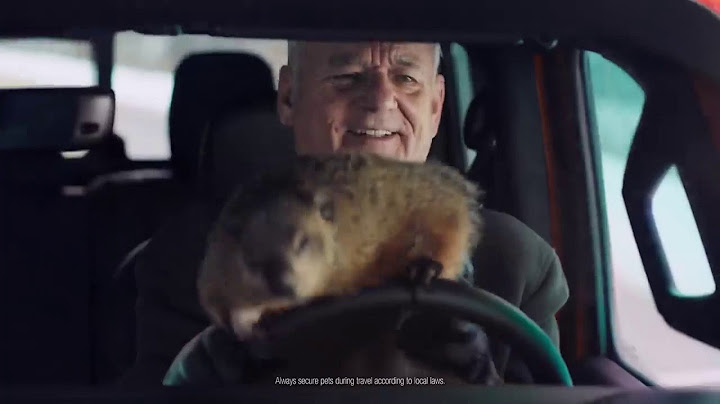 Bill Murray Super Bowl Ad
