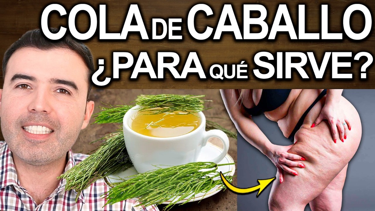 TE DE COLA DE CABALLO EN AYUNAS - Para Que Sirve, Beneficios Y Contraindicaciones Para Tu Salud