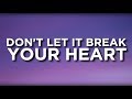 Louis Tomlinson - Don't Let It Break Your Heart (Lyrics)