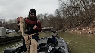 Lake Cumberland MEGA BAG On a Spinner Bait!!! (NPFL) 2022 WINING BAG!