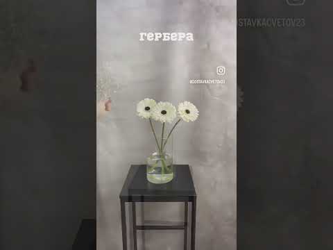 Доставка Цветов в Краснодаре