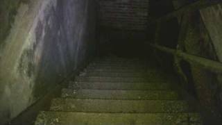 The Rainhurst Project: Teaser