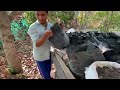 How to apply fertilizer to plant black shoots on the first day
