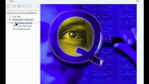 SAP S4Hana Tutorial/Follow-Along -- QM Case Study Step 8 updated