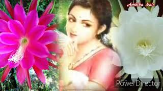 (135)'Bhoomiye Snehicha Devanganayoru...!' (Cover song by Ambika Nair)