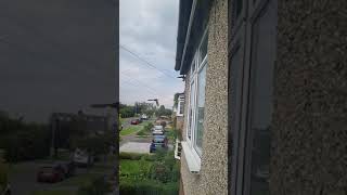 The sound of swifts'calling in slow motion...haunting and amazing!