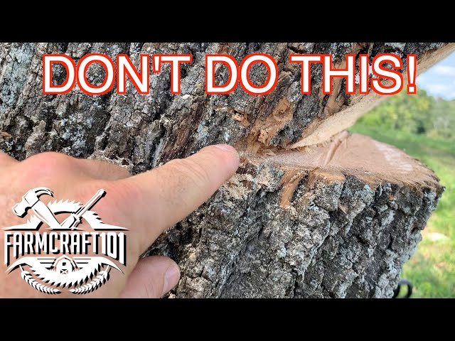 No Nonsense Guide to Tree Felling.  How to cut down a tree safely.  FarmCraft101 class=