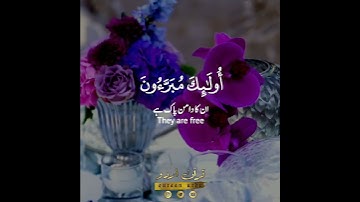 🔥الخبيثات للخبيثين🔥 سورة النور:٢٦|أحمد خضر|Surah an Noor:26|Ahmed Khedr